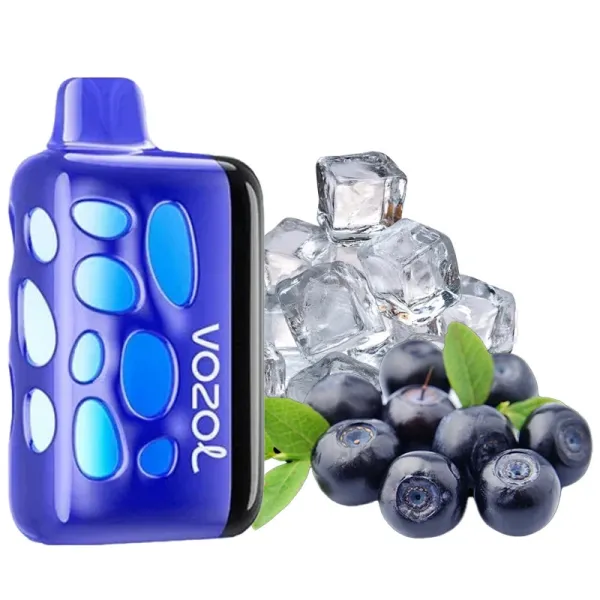 Одноразка Vozol Rave Blueberry Ice (Черника Лед) 40000