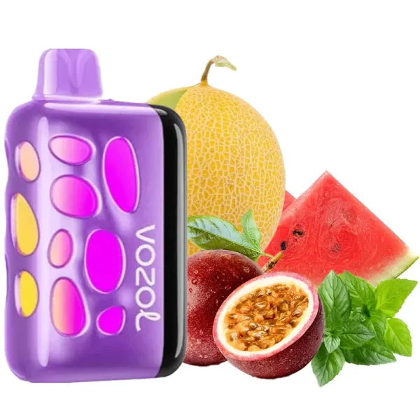 Одноразка Vozol Rave Love 777 (Дыня Арбуз Маракуйя Мята) 40000